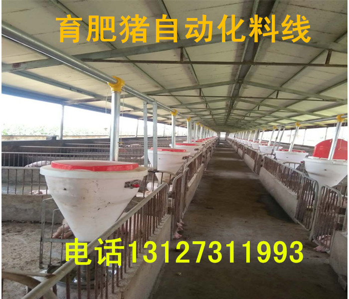 自動(dòng)化下料喂豬設(shè)備/系統(tǒng)